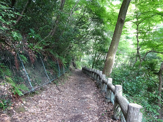 箕面の滝