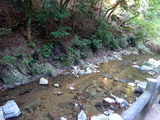 箕面の滝散策