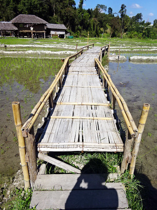 Baan Tong Luang