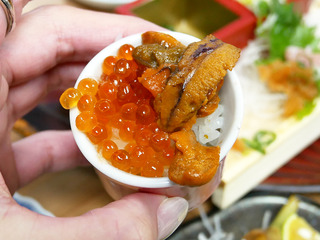 sakatokek10