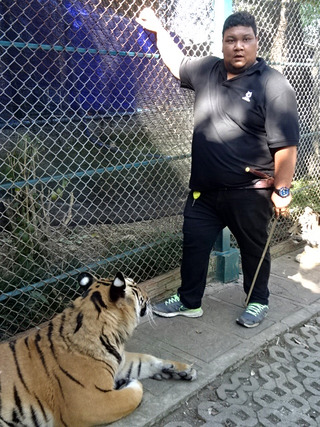 「Tiger Kingdom」