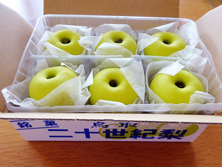 鳥取土産