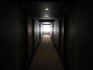 daiwaroynet9