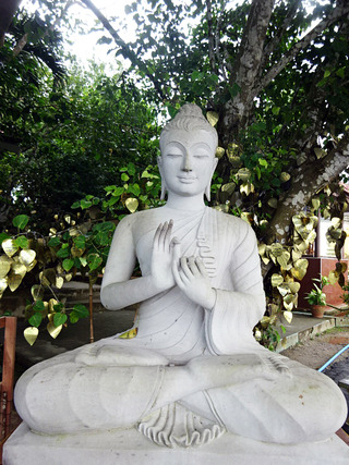 Big Buddha&View