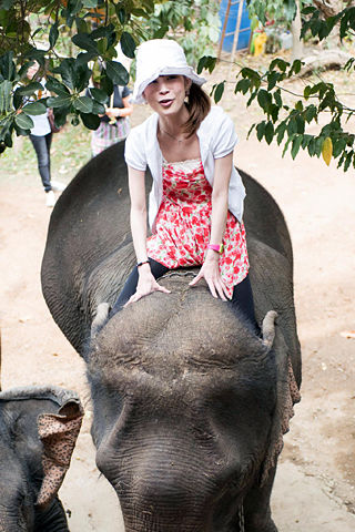 「Sri Satchanalai Elephant Conservation Center」