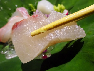 「湯木 新店」