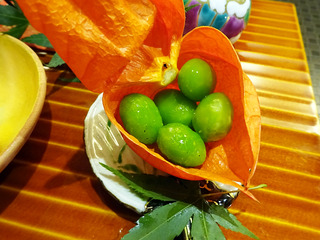 「北新地 湯木本店」