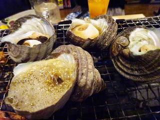 「磯っこ商店」