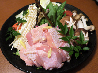 yoshikawa21