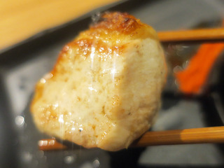 toriichiwa29