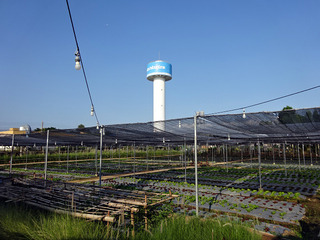 「OHKAJHU」