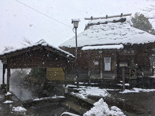 ohita_kanko17