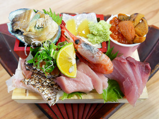 sakatokek9