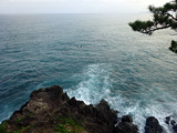 高知旅