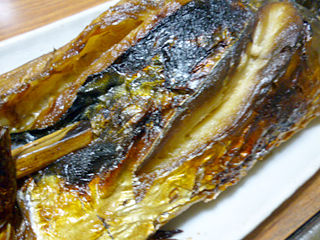 若狭名産 鯖