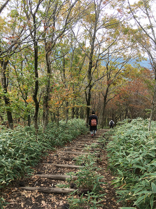 奈良旅