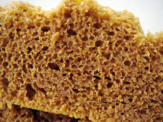 �礭�ʹ�������߾����Ѥ�