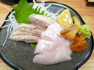 sakatokek14