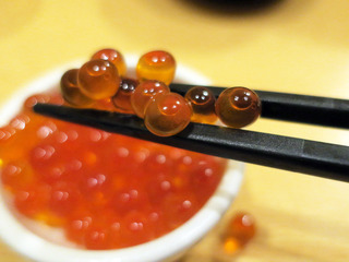 uchoten24