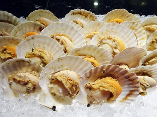 「Tavola36」