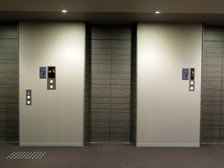 daiwaroynet8