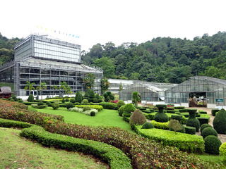 「QUEEN SIRIKIT BOTANIC GARDEN」