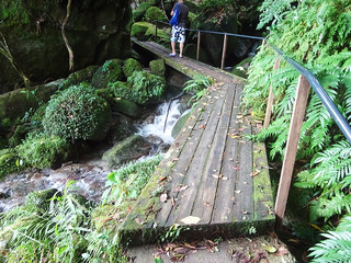 屋久島散策