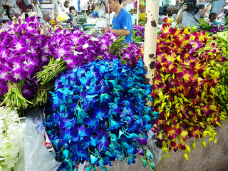 「Pak Klong Market」