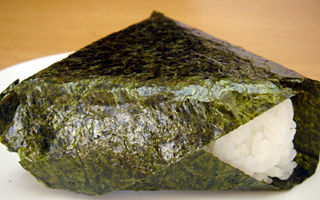 �������̻Ҥ�����������Ω��