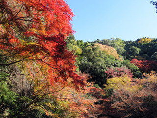 2018箕面の滝