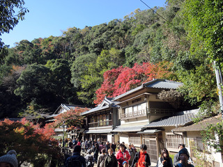 2018箕面の滝