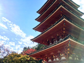 奈良旅