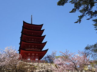 宮島散策