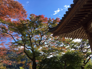 奈良旅