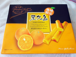 kagoshimam21