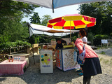 高知旅