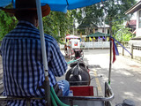 馬車散策