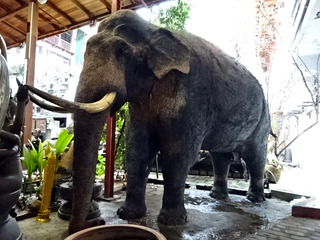 ガンガラーマ寺院