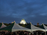 19thaifes88