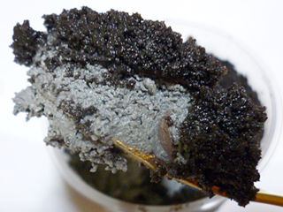 炭火焼肉たむらプチ炭ショコラカフェ