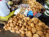 Colombo PETTAH