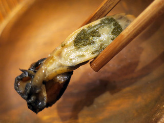 chemlyncho16