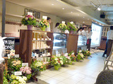 「korean cafe dining dammi」