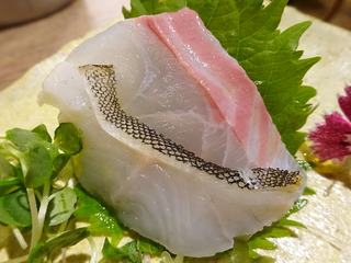 「晩酌食堂Hanaco+」