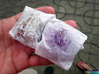 高知旅