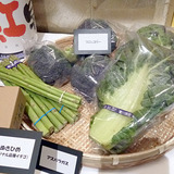 「うどん県。それだけじゃない香川県」