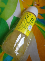 高知旅