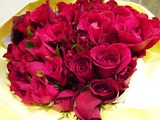 「Siam@Siam」