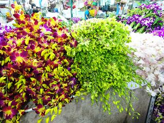 「Pak Klong Market」