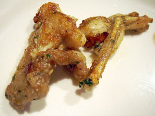 �֥ӥ��ȥ������ॷ���ȥ�ץ�����